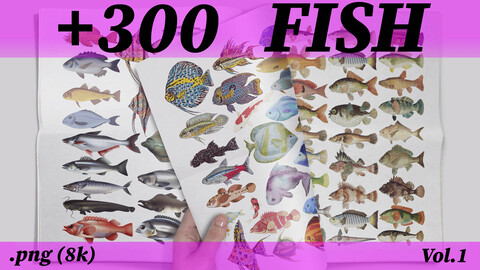 300 fish paint watercolor png