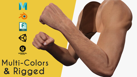 VR 4K Realistic Hands Multi-Skins Colors Rigged HQ Low-poly 3D model