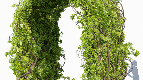 Magical Tree Tunnel Was Carved Out