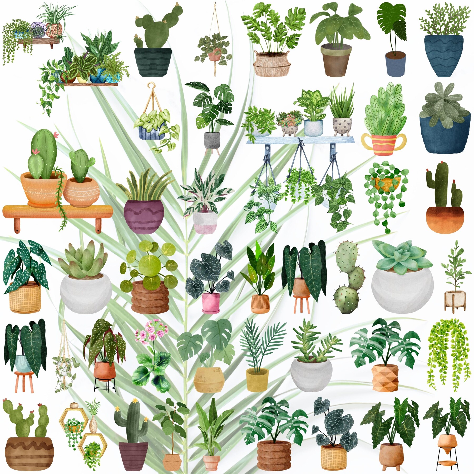 ArtStation - 200 House plants Watercolor Clipart, Transparent PNG ...