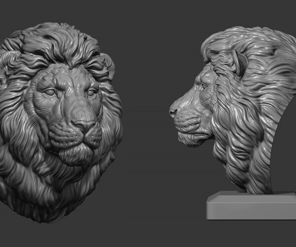 ArtStation - Lion quiet | Resources