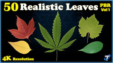 50 Realistic Leaves - PBR Textures (MEGA Bundle) - Vol 1