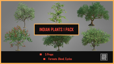 Indian Plants 1 PACK