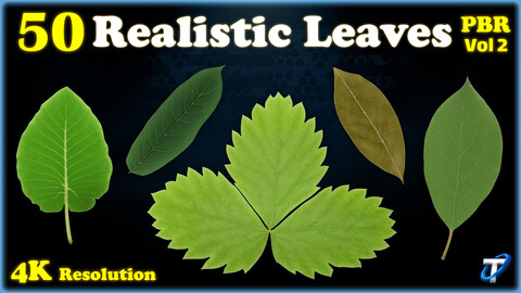 50 Realistic Leaves - PBR Textures (MEGA Bundle) - Vol 2