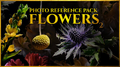 Flowers vol.2-Photo Reference Pack For Artists 1035 JPEGs