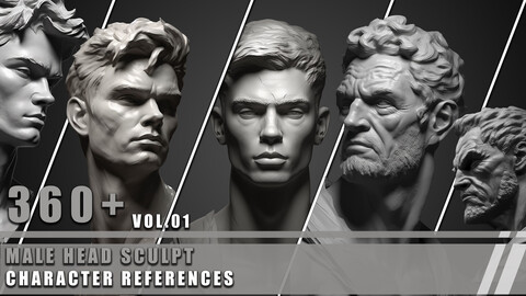 360+ Male Head Sculpt - Character References Vol.01