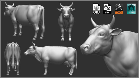 Cow  - Topology + UV map