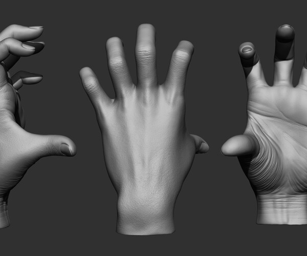 Artstation 15 Female Hand Poses 3d Models Ztlobjstl Resources