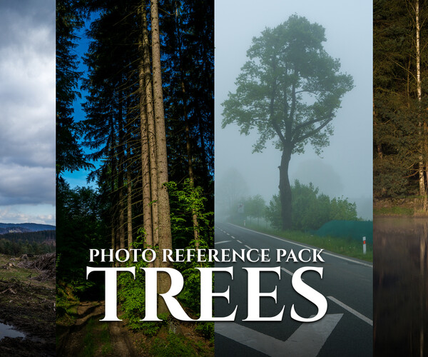 ArtStation - Trees Vol.2 Photo Reference Pack For Artists 396 JPEGs ...