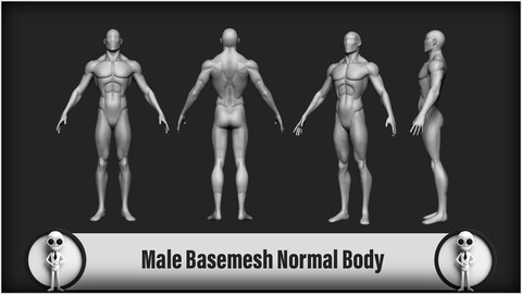 Male Basemesh Normal Body