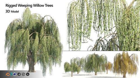 Rigged and low poly weeping willow trees