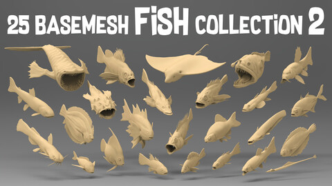 25 Basemesh fish collection 2