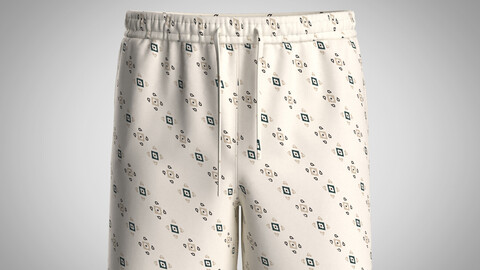 Men's Shorts Pant