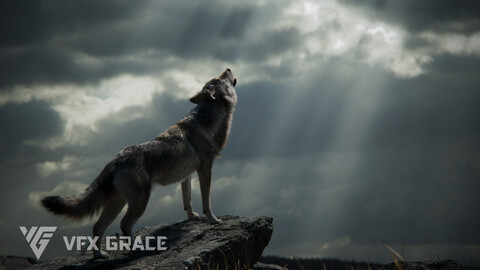 Wolf Animation | VFX Grace