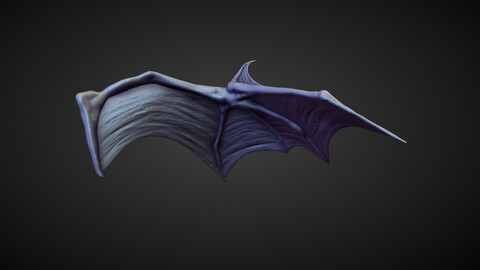 WING33 high poly sculpt