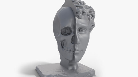 Half head, Half skull Bust