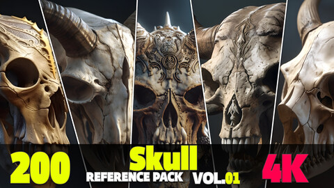 200 4K Skull Reference Pack Vol.01