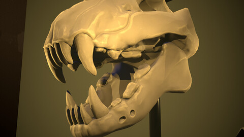 Stylized Cheetah Skull