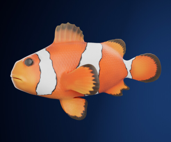 ArtStation - Cute Realistic Animation-Ready Clownfish | Resources