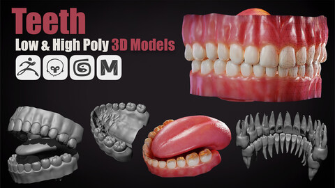 Teeth | Low & High Poly 3D Models | Game Ready