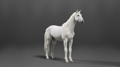 White Horse Animation | VFX Grace