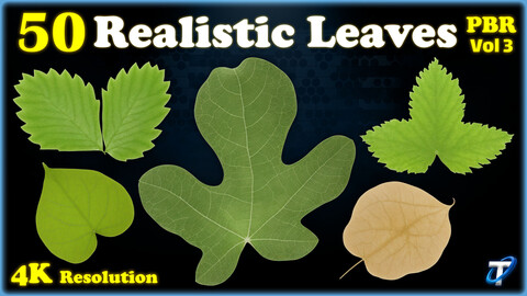 50 Realistic Leaves - PBR Textures (MEGA Bundle) - Vol 3