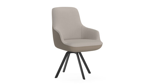 Rolf Benz 671 SMO Armchair 3D Model