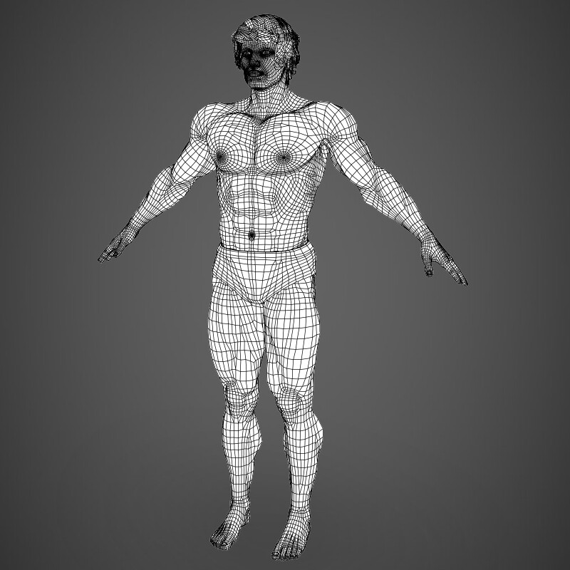 ArtStation - Man Bodybuilder 3D Model | Resources