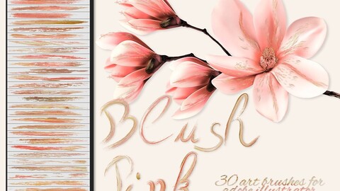 Blush Pink Illustrator Brushes