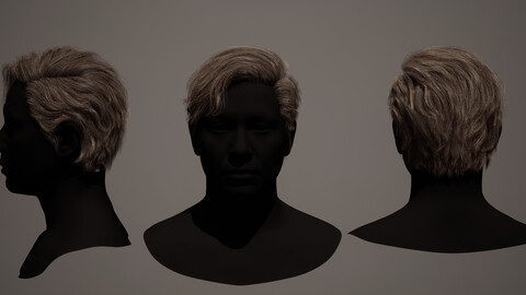 Real time model hair Low-poly 3D model