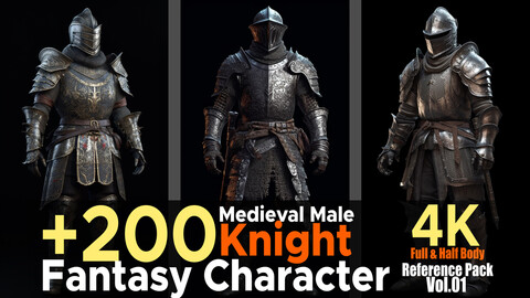 +200 Medieval Male Knight (Fantasy Character) Vol.01 | Vol.01 |Reference Pack