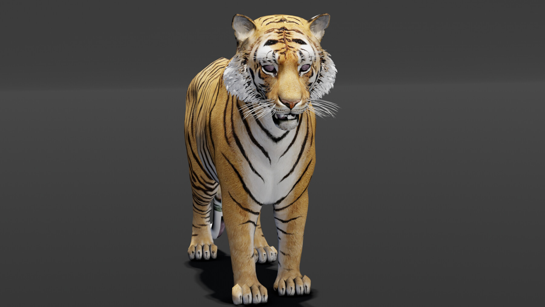 ArtStation - Tiger Animated 3d Model