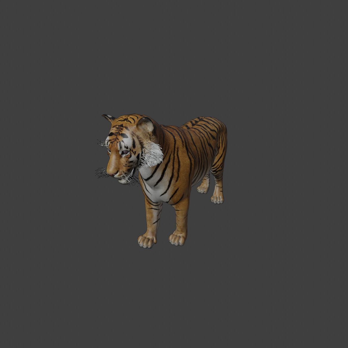 ArtStation - Tiger Animated 3d Model