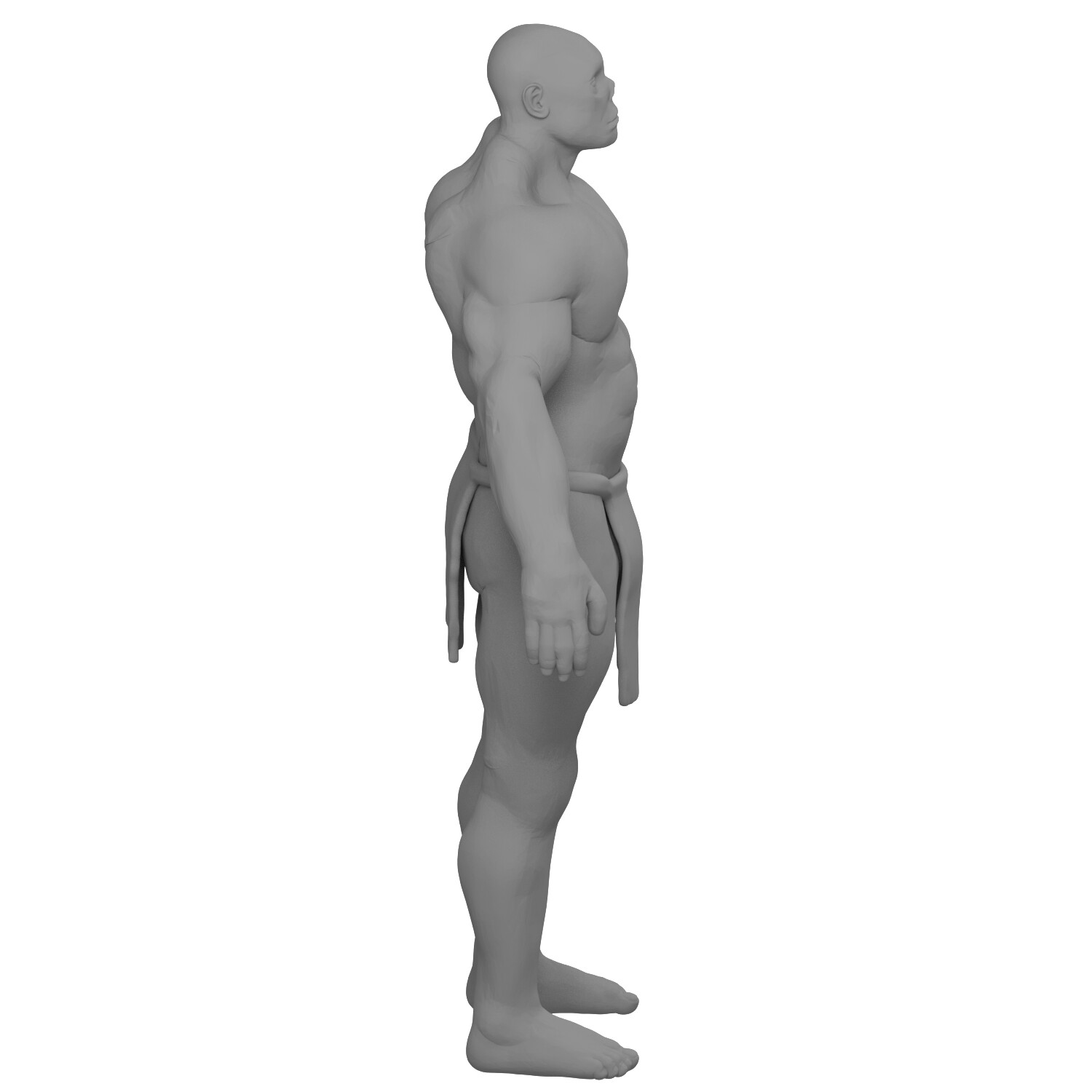 Troll Face and Posing Body 3D model 3D printable