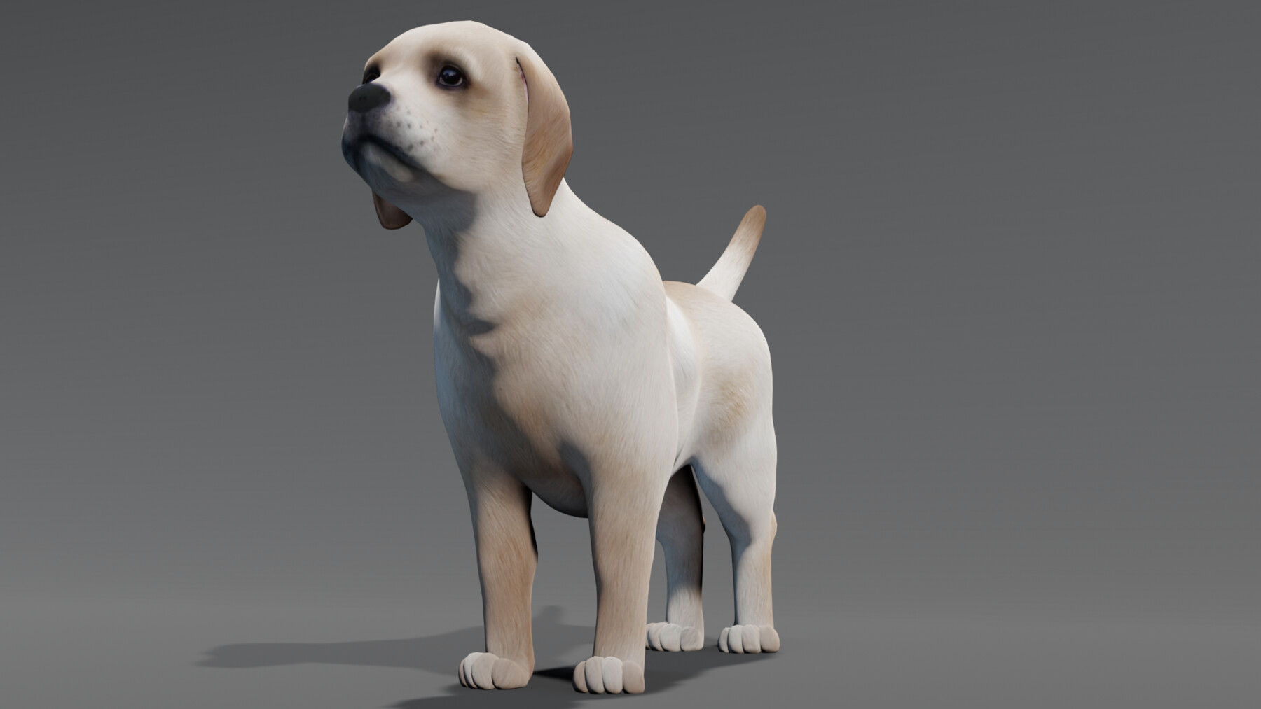 ArtStation - Dog 3D model | Game Assets