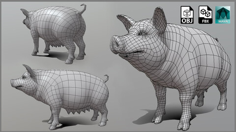 Female Pig BaseMesh - Topology + UV map