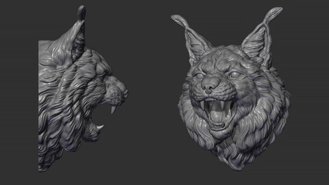 Lynx head angry