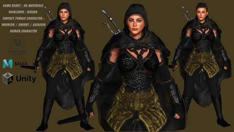 AAA 3D FANTASY FEMALE WARRIOR / ASSASSIN - REALISTIC RIGGED GAME READY CHARACTER
