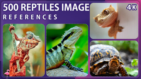 500 Reptile Reference Pack – Vol 1