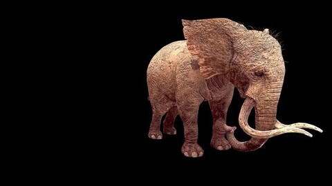 DOWNLOAD Elephant ANIMATED - BLENDER - 3DS MAX - CINEMA 4D - FBX - MAYA - UNITY - UNREAL