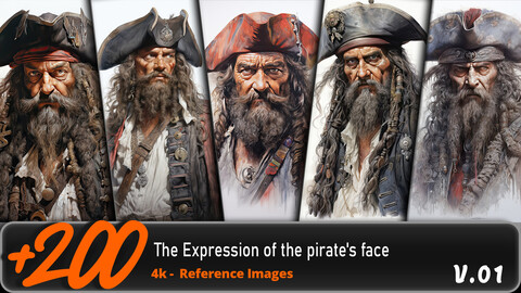 The Expression of the pirate's face vol.01/ 4K/ Reference Image