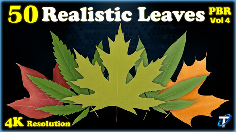 50 Realistic Leaves - PBR Textures (MEGA Bundle) - Vol 4