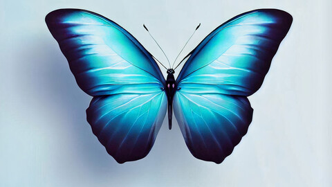 Blue Butterfly