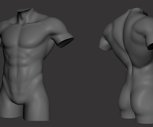 MangaMaterials＠TESCO on Twitter  Male torso, Torso, Male torso anatomy