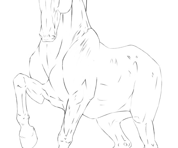 ArtStation - Piaffe Horse Lineart | Artworks