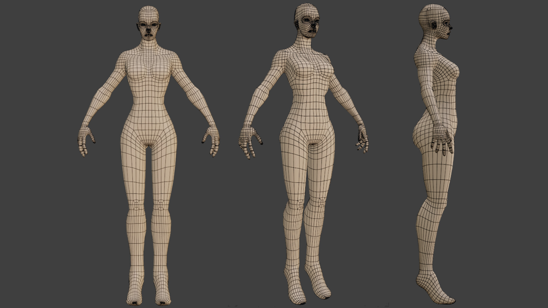 ArtStation - Stylized basemesh female | Game Assets