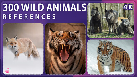 300 Wild Animals Reference Pack – Vol 1