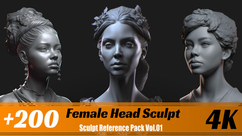 +200 Female Head Sculpt | 4K | Sculpt Reference Pack Vol.01