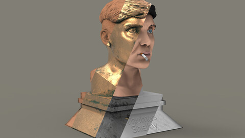 Thomas Shelby 3d Bust Statue