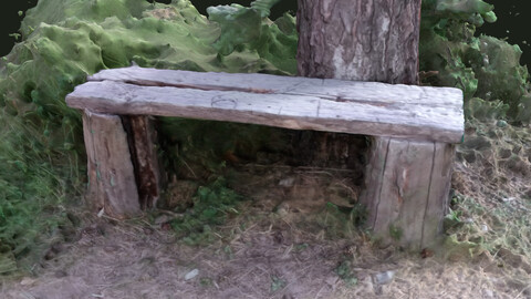 Bench in the forest: 3D Scan Reference